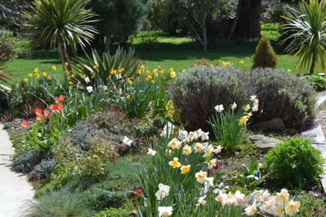 Le Tertre Gatinais Bed & Breakfast Saint-Briac-sur-Mer ภายนอก รูปภาพ