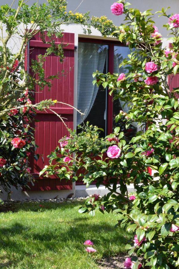 Le Tertre Gatinais Bed & Breakfast Saint-Briac-sur-Mer ภายนอก รูปภาพ